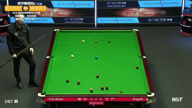 是她面临的 是她面临的